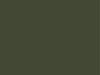 6084 GREEN RIFLE (OSCURO) 19-0419 TCX