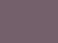 9057 PURPLE GREY (OSCURO) 17-1708 TCX-02