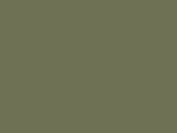 9180 OLIVE GREEN (OSCURO) 18-0422 TCX