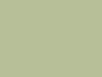 9487 PASTO SECO (OSCURO) 14-0216 TCX